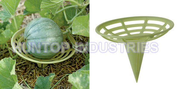 Melon Squash Cradles Support